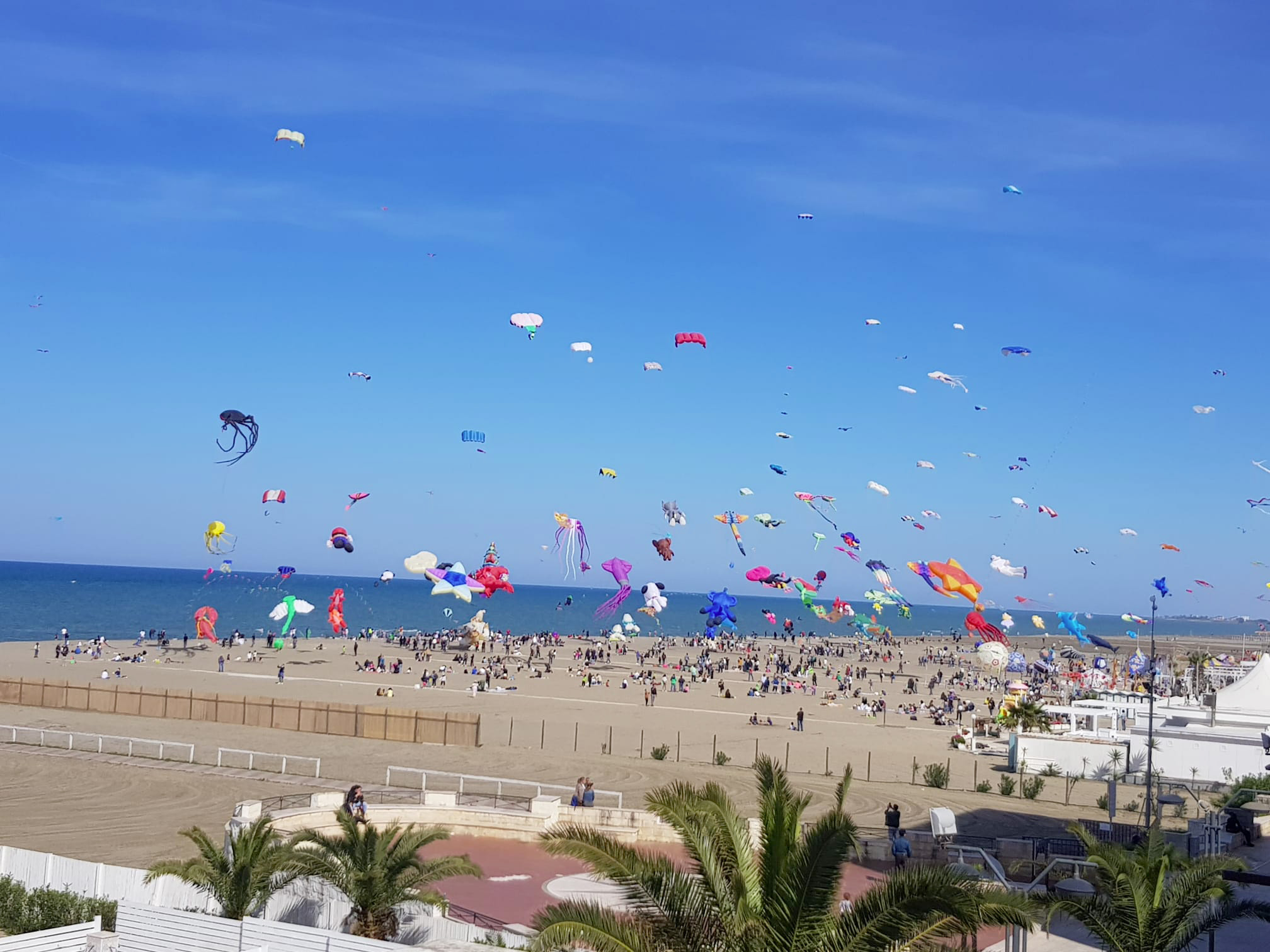 Galleria Al via il X Festival degli Aquiloni a Margherita di Savoia - Diapositiva 1 di 3