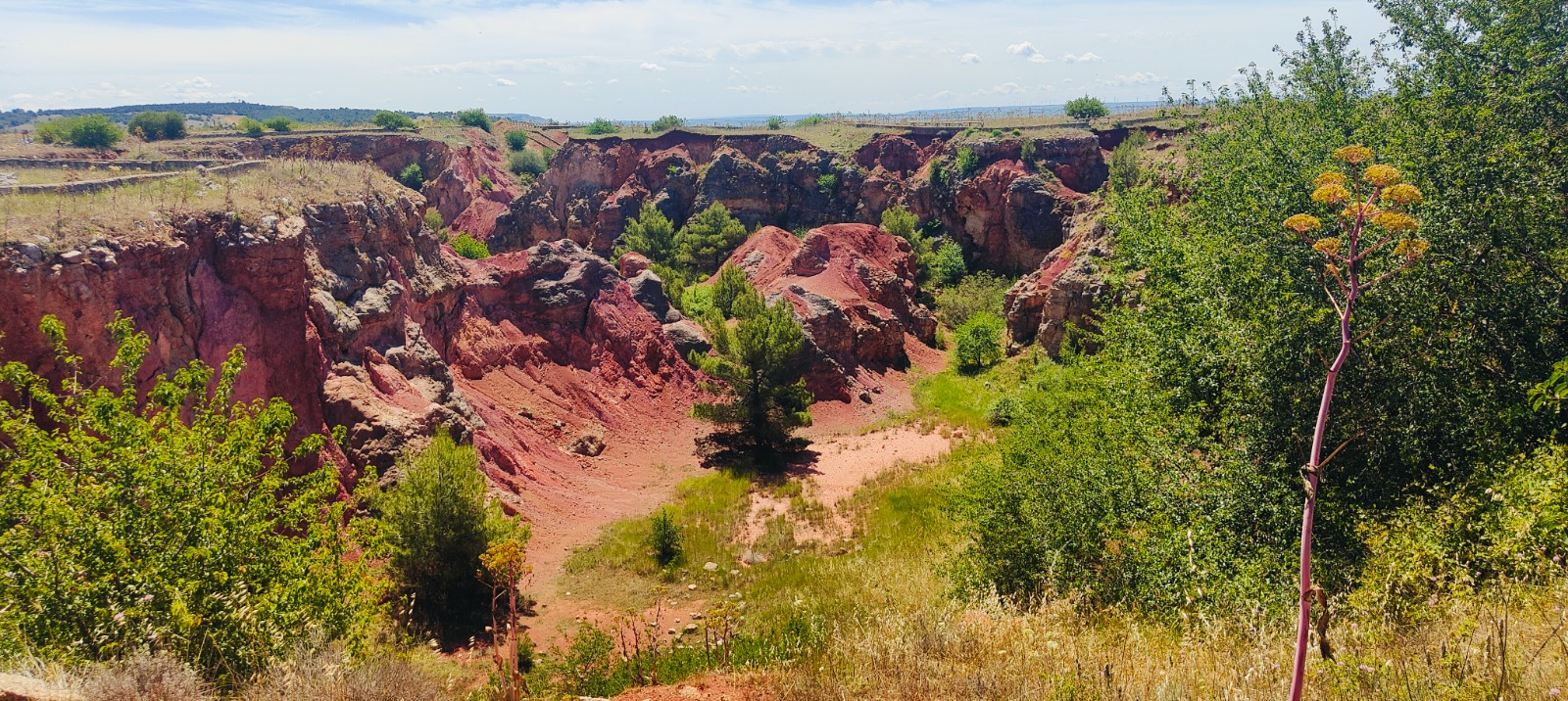 Galleria Riaprono le Miniere di Bauxite nel Parco Nazionale dell'Alta Murgia: l’inaugurazione in occasione della Giornata Mondiale dell’Ambiente - Diapositiva 4 di 7