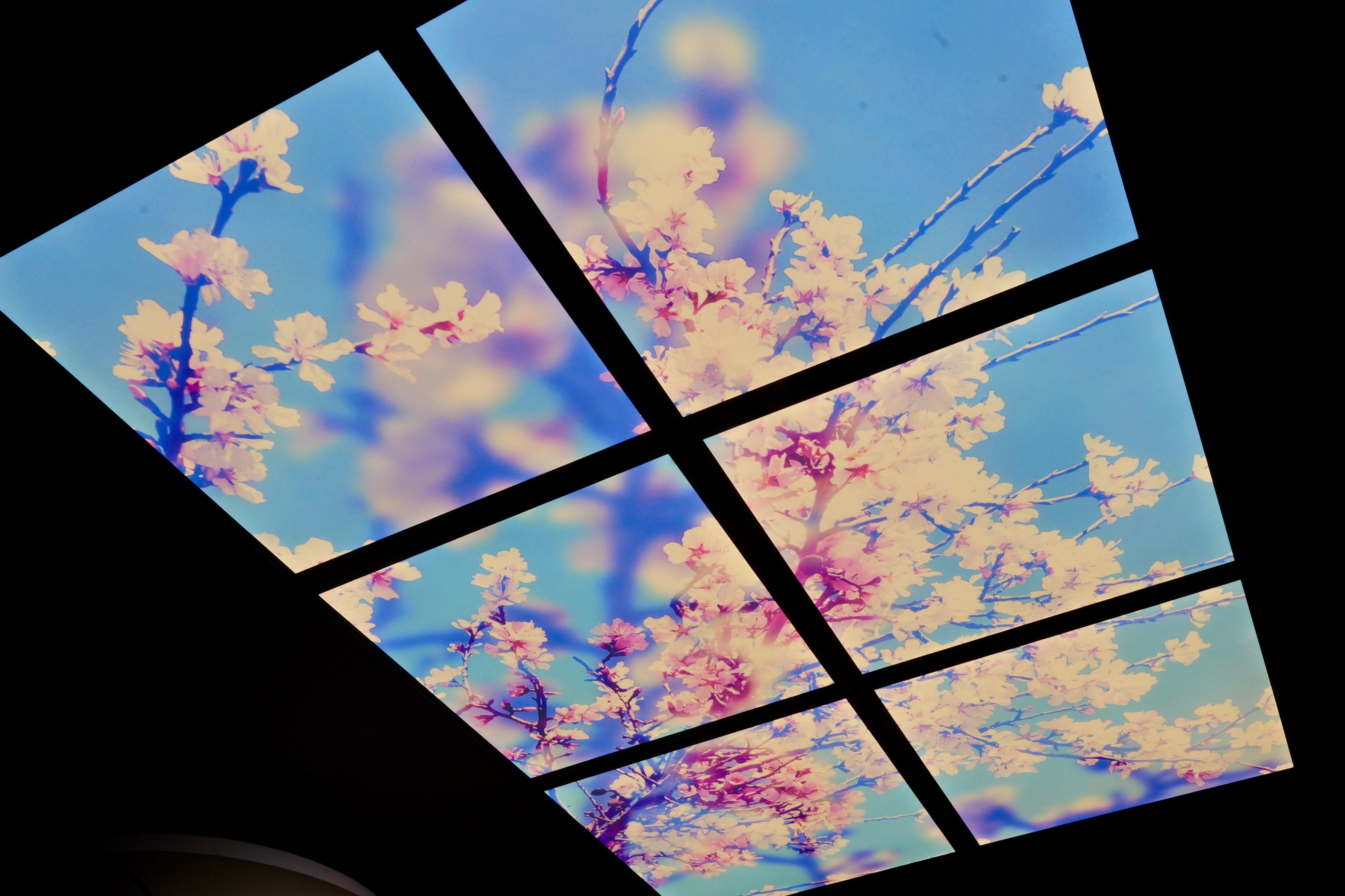 Galleria OSPEDALE DIMICCOLI DI BARLETTA: EMILIANO, PIEMONTESE E DIMATTEO ALL’ATTIVAZIONE DEL SECONDO  NUOVO ACCELERATORE LINEARE - Diapositiva 5 di 16