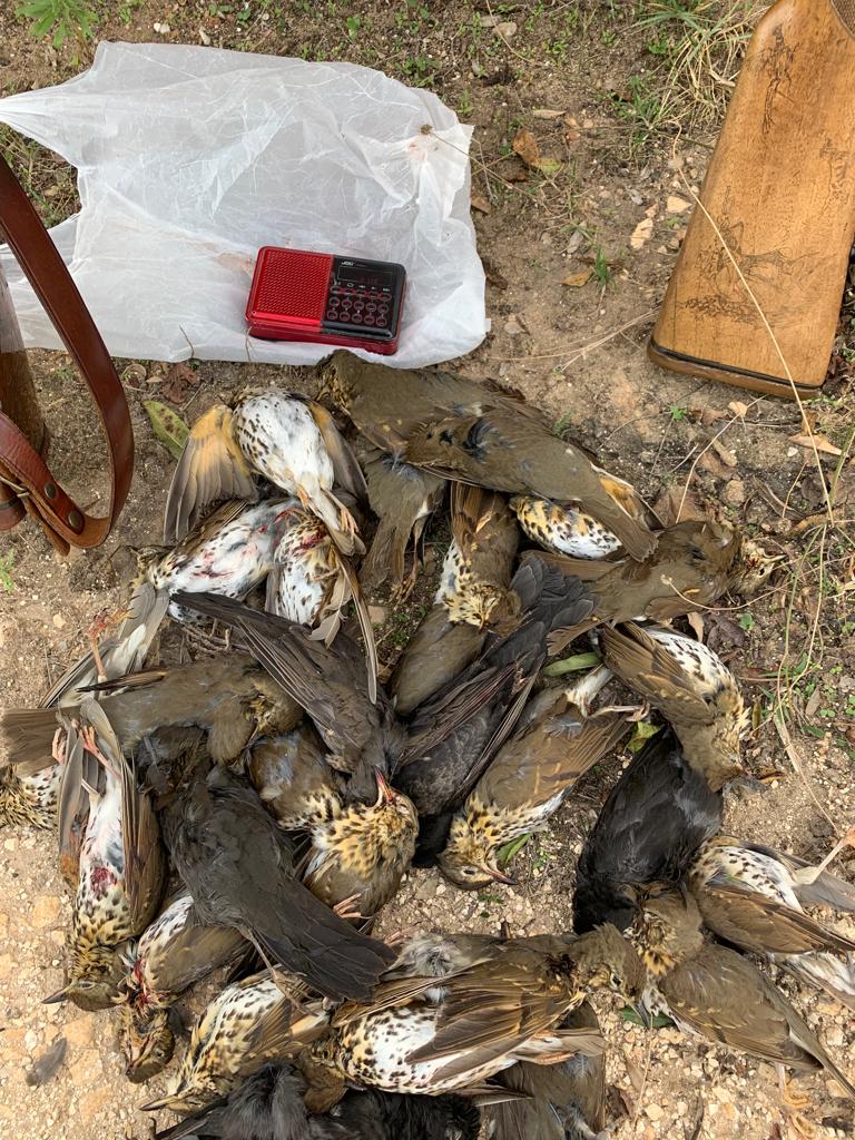 Galleria NUCLEO DI VIGILANZA AMBIENTALE DELLA REGIONE PUGLIA: DENUNCIATE PER BRACCONAGGIO TRE PERSONE E SEQUESTRATE ARMI, SELVAGGINA E RICHIAMI    - Diapositiva 1 di 3