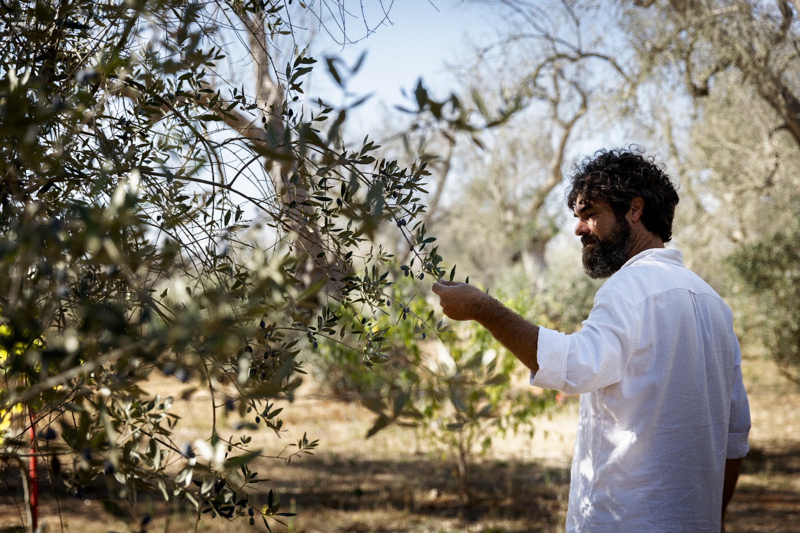 Galleria Memorie, legami e comunità nel Bioumanesimo di Puglia - Diapositiva 10 di 15