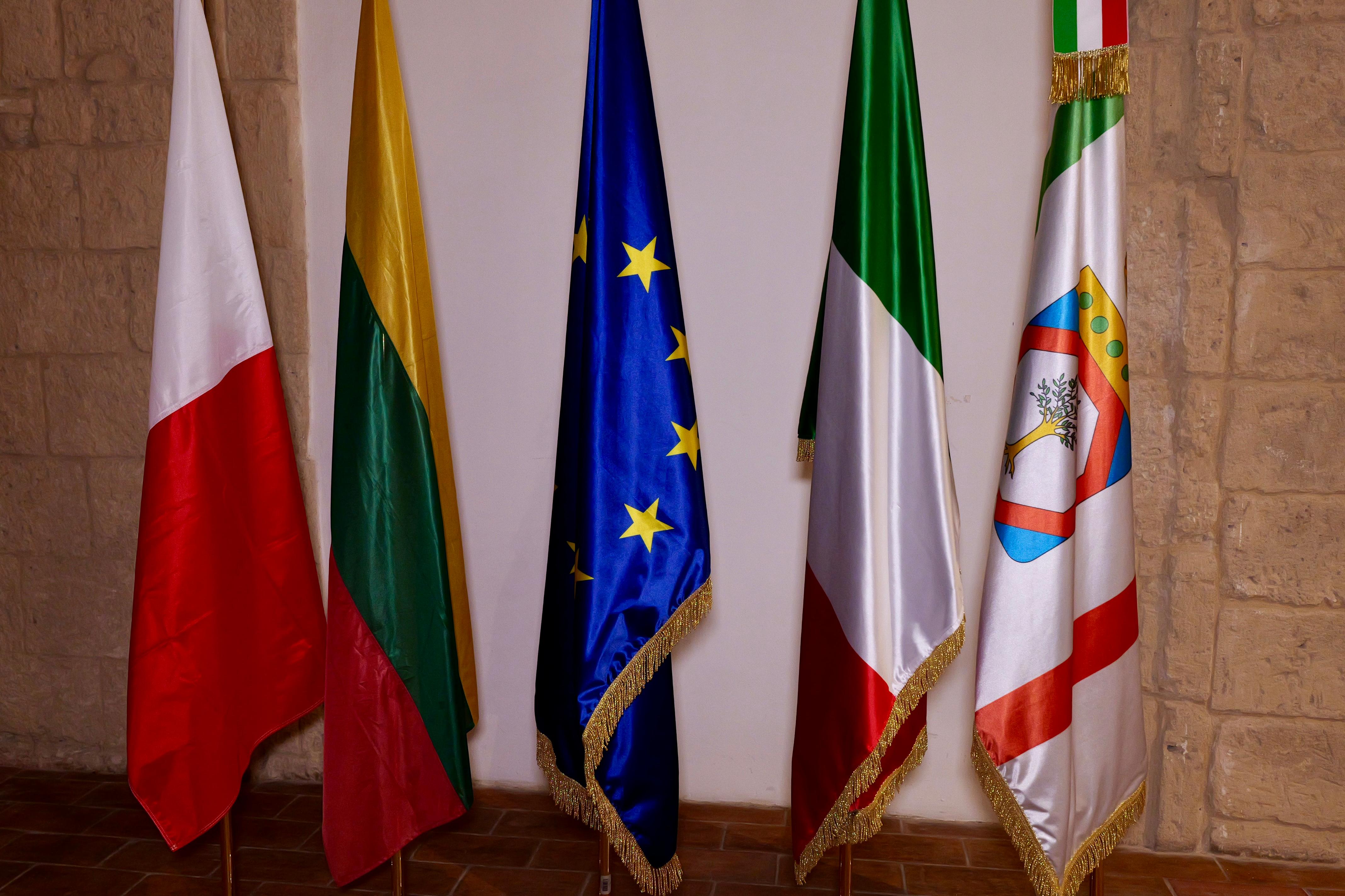 Galleria EMILIANO ACCOGLIE IL PRESIDENTE DELLA REPUBBLICA DI LITUANIA NAUSĖDA - Diapositiva 2 di 14