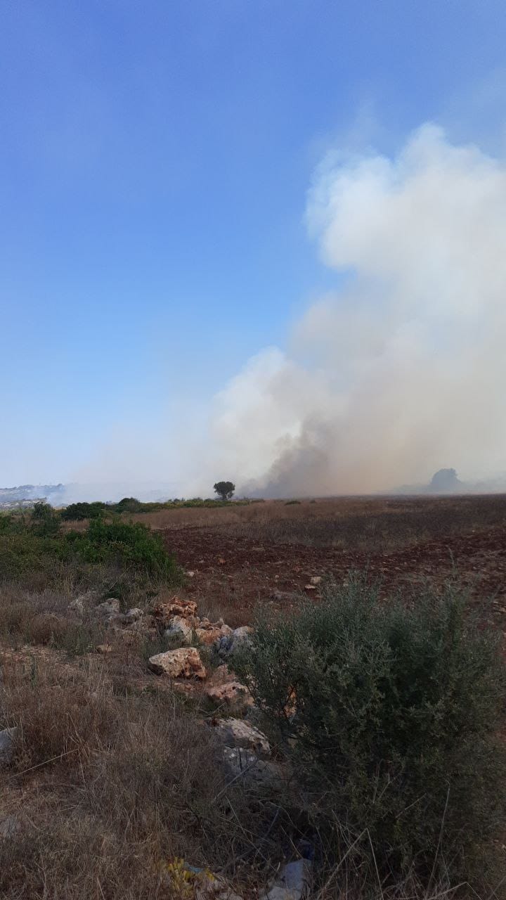 Galleria Protezione civile, a Martina Franca scongiurata la distruzione di 90 ettari di macchia mediterranea - Diapositiva 4 di 4