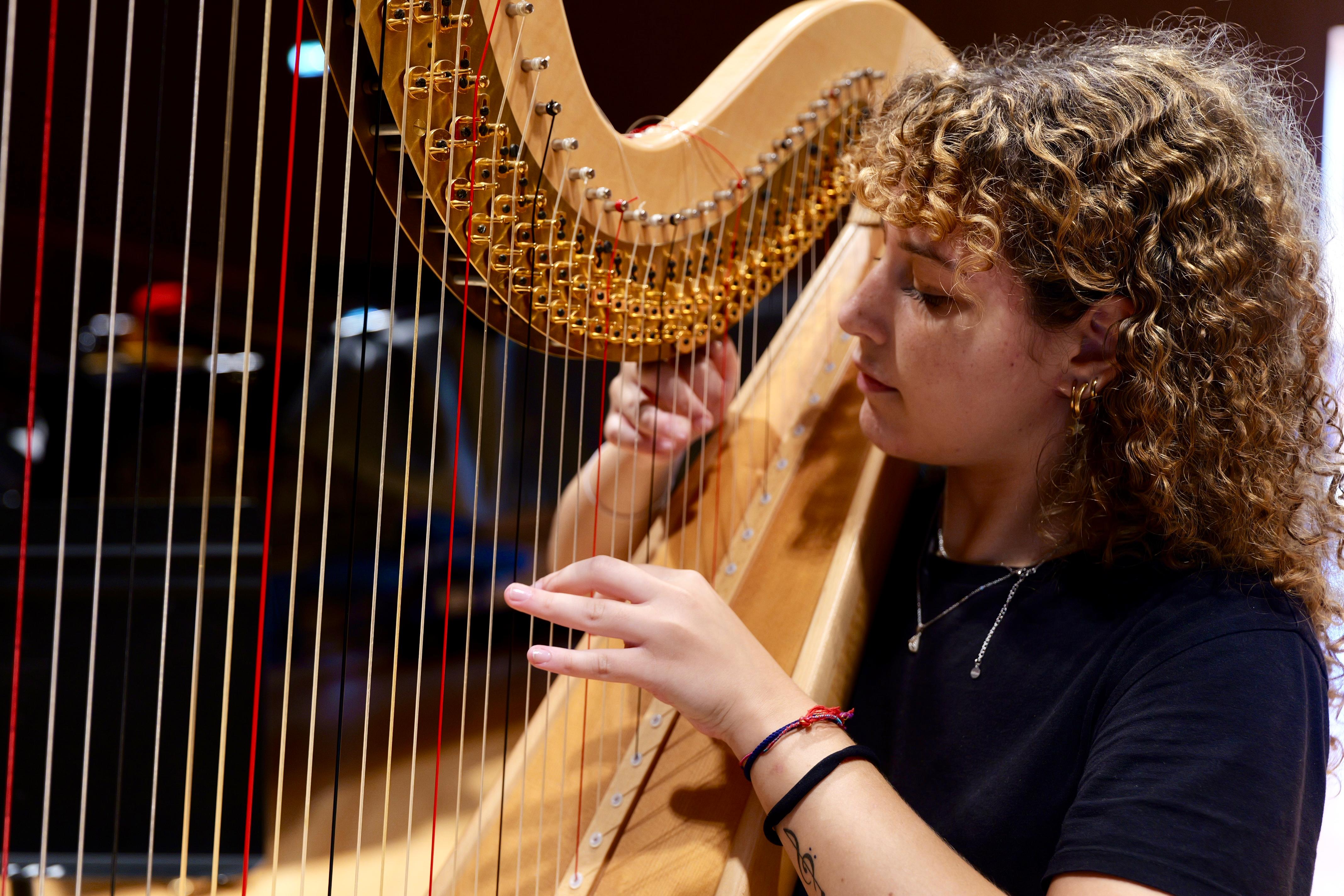 Galleria Leo: al via la terza stagione musicale dell’Orchestra Regionale dei Conservatori di Puglia, cinque concerti per il grande pubblico pugliese con le “Operette” di Johann Strauss e Franz Lehar - Diapositiva 12 di 14