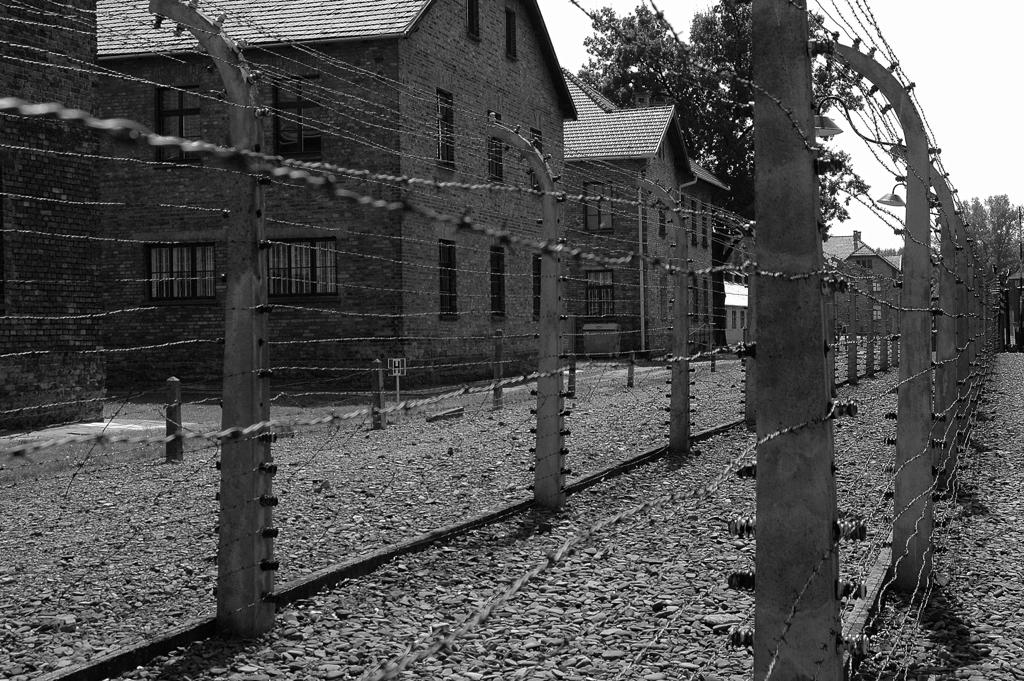 Galleria Fascismo e discriminazioni di genere: la Giornata della Memoria per non dimenticare nessun tipo di discriminazione e violenza - Diapositiva 10 di 20