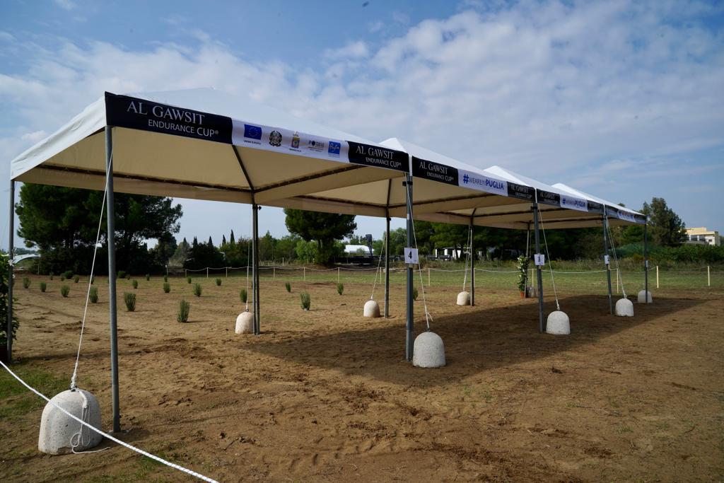 Galleria Turismo destagionalizzato, a cavallo nei boschi di Castellaneta Marina, domani e domenica la gara di Endurance AL GAWSIT ENDURANCE CUP® 2022 - Diapositiva 15 di 22