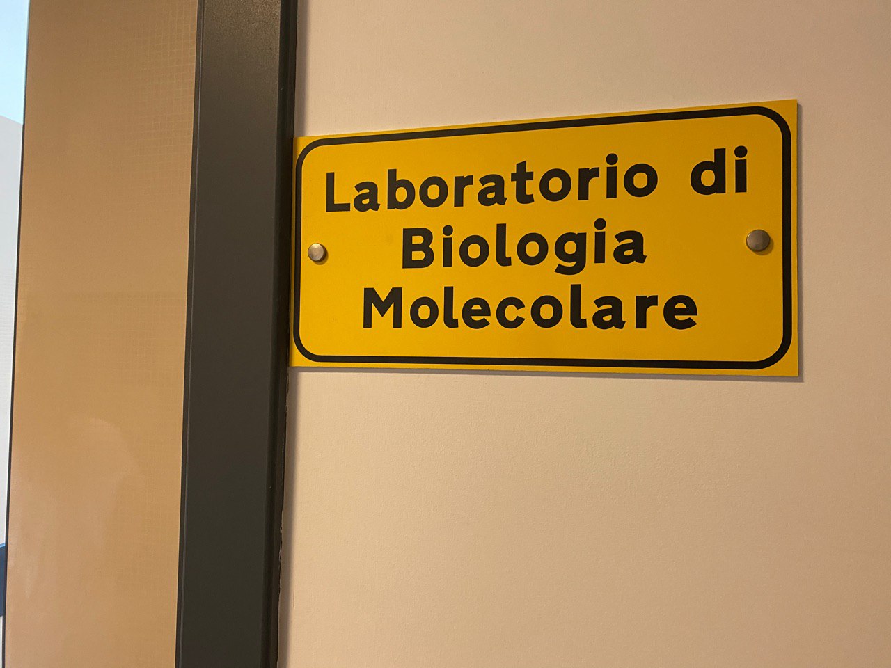 Galleria Emiliano visita il nuovo laboratorio di microbiologia e virologia del “De Bellis” di Castellana: può processare oltre 800 tamponi al giorno - Diapositiva 3 di 8