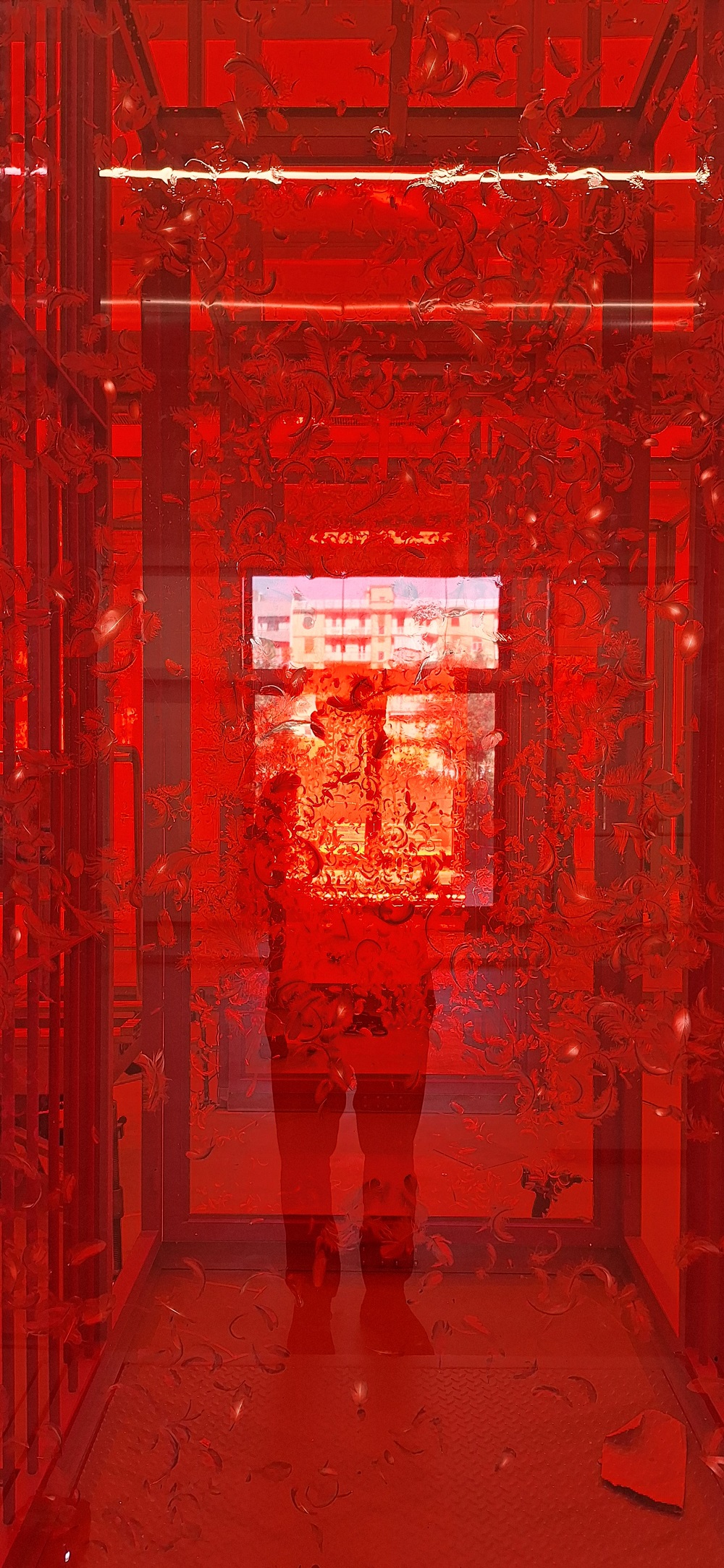 Galleria “COMPAGNI E ANGELI” DI ALFREDO PIRRI DOMANI ALL'EX CASERMA ROSSANI DI BARI - Diapositiva 1 di 2