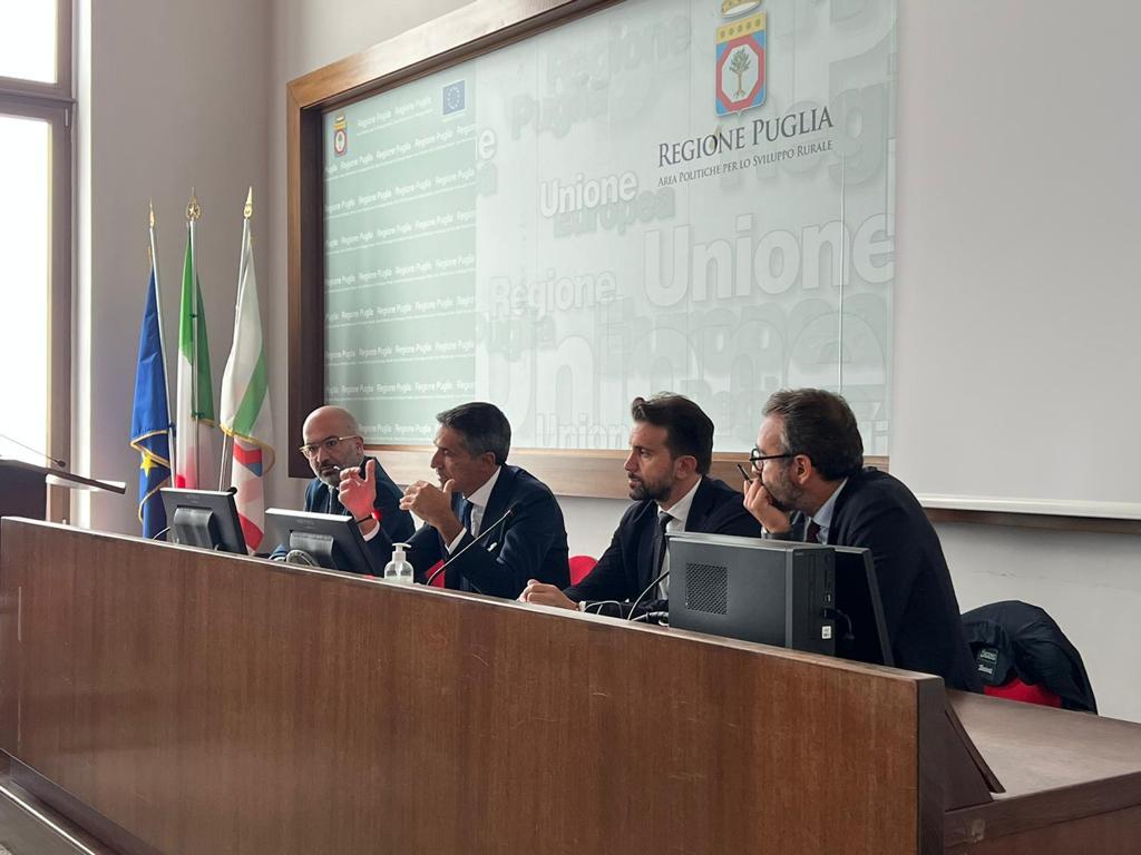 Galleria Uva da tavola, Pentassuglia: 