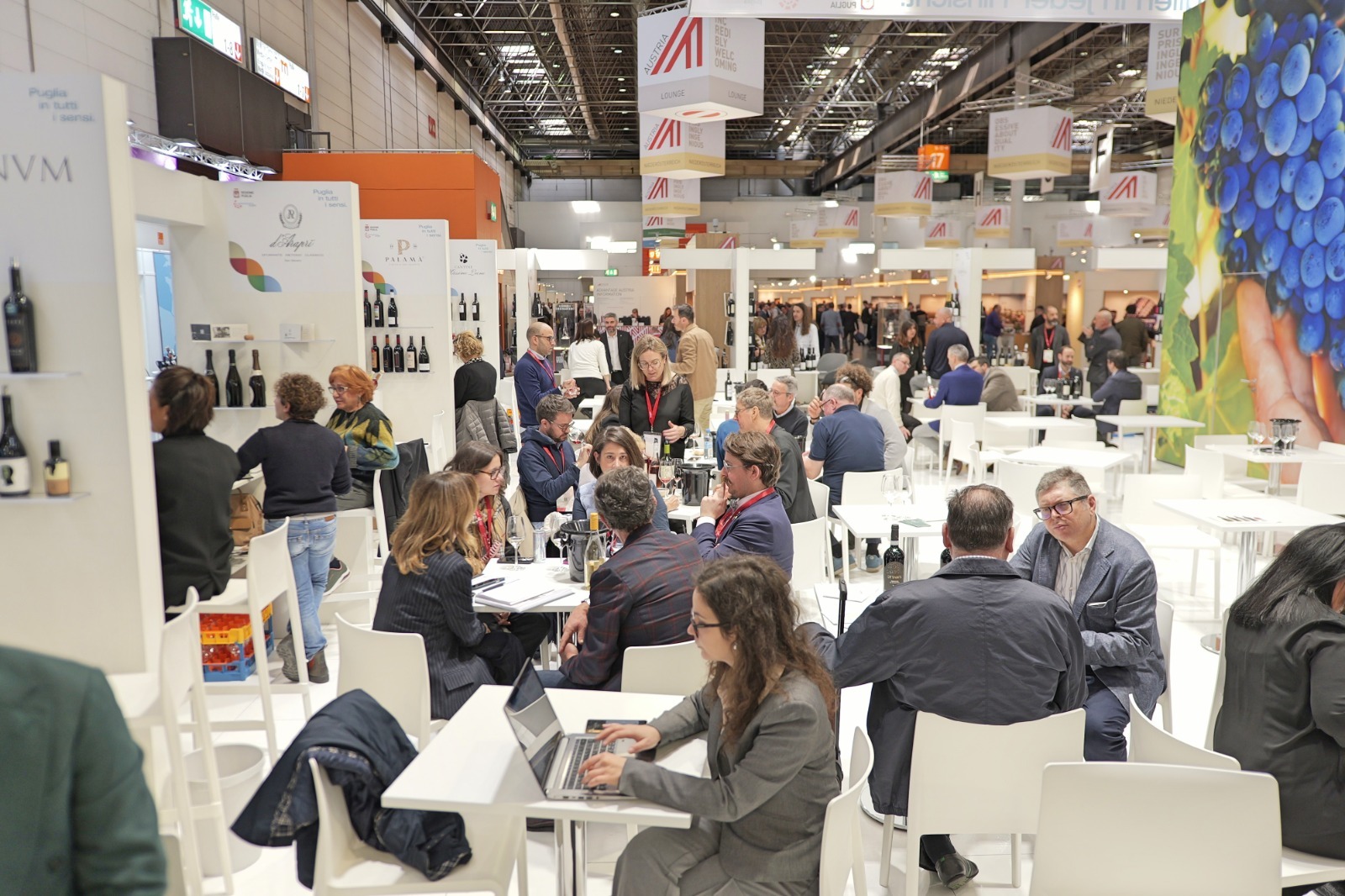 Galleria La Puglia dei vini al ProWein 2024 di Düsseldorf - Diapositiva 2 di 6