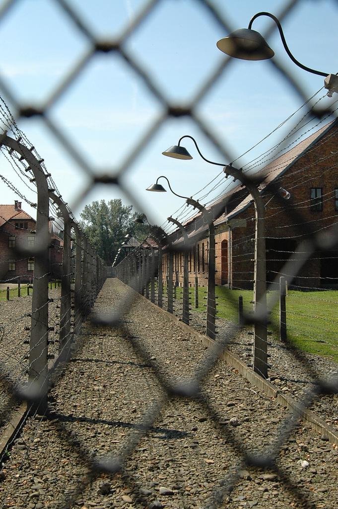 Galleria Fascismo e discriminazioni di genere: la Giornata della Memoria per non dimenticare nessun tipo di discriminazione e violenza - Diapositiva 12 di 20