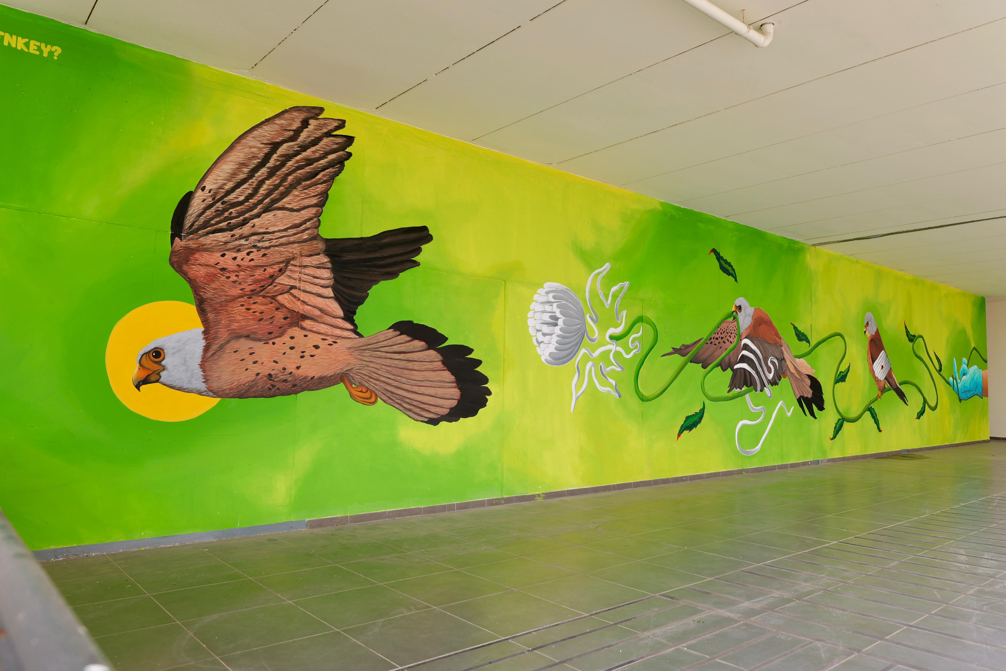 Galleria 2014-2024, l’Ospedale della Murgia compie dieci anni: un presidio diventato “grande” insieme al territorio - Diapositiva 2 di 15