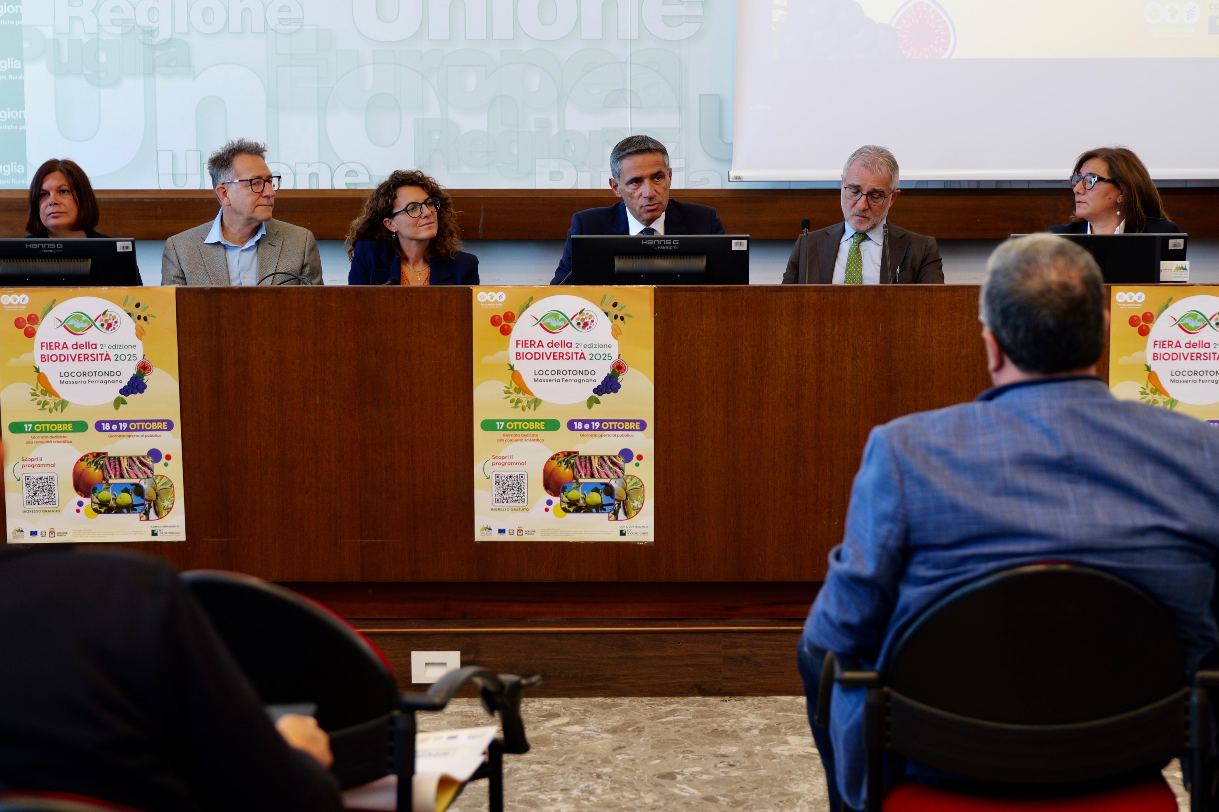 Galleria Fiera della Biodiversità 2025: dal 17 al 19 ottobre la seconda edizione a Locorotondo - Diapositiva 2 di 9