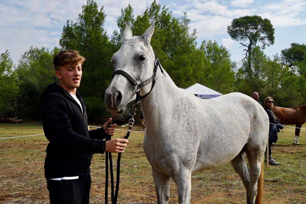 Galleria Turismo destagionalizzato, a cavallo nei boschi di Castellaneta Marina, domani e domenica la gara di Endurance AL GAWSIT ENDURANCE CUP® 2022 - Diapositiva 2 di 22