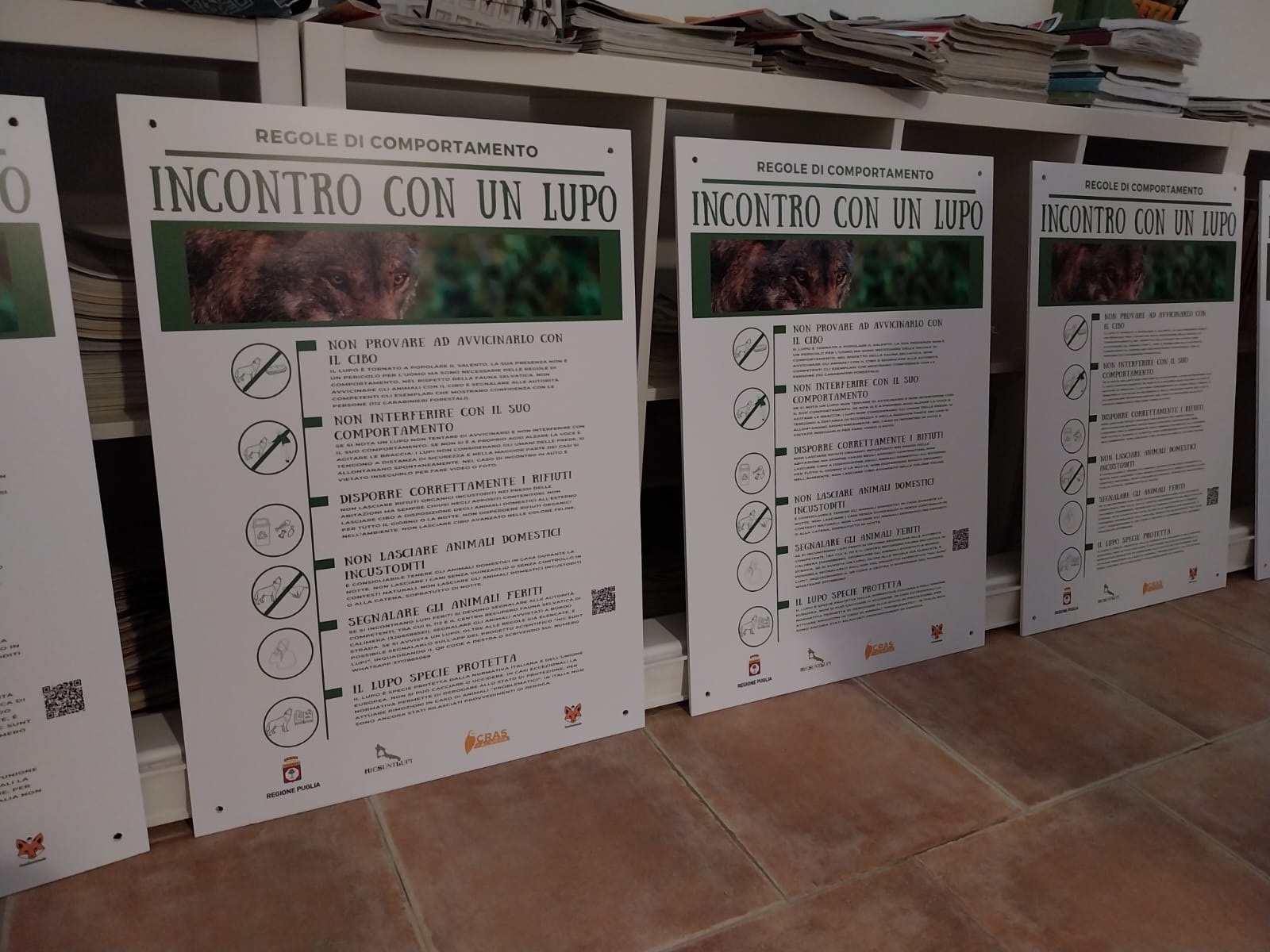 Galleria Studio e monitoraggio del lupo nel Salento: presentata la cartellonistica per le buone norme nella sua gestione - Diapositiva 1 di 4