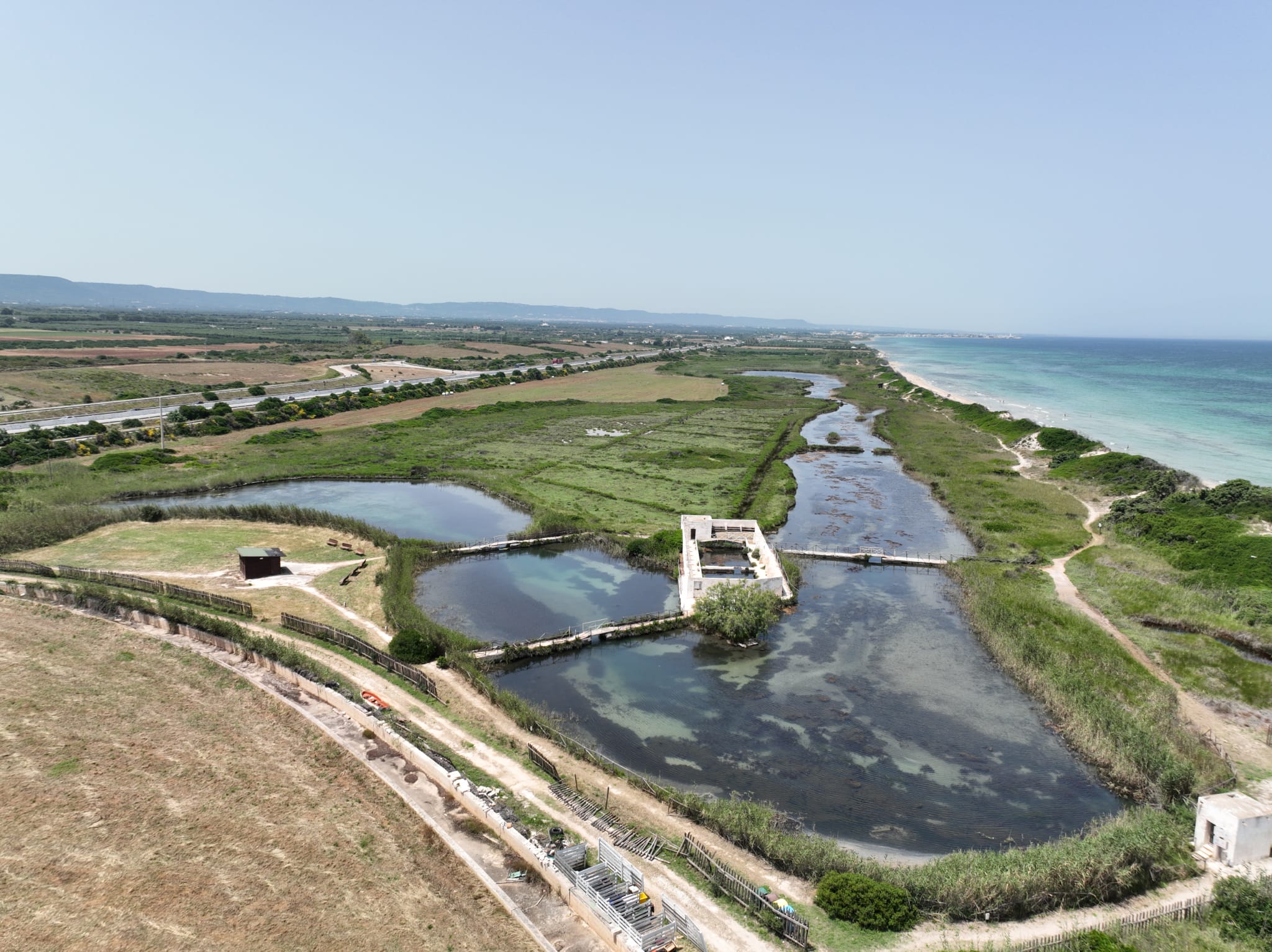 Galleria Il ruolo delle dune costiere, assessora Triggiani: “Patrimonio geobiodiverso e volàno di sviluppo costiero e turistico da tutelare” - Diapositiva 9 di 14