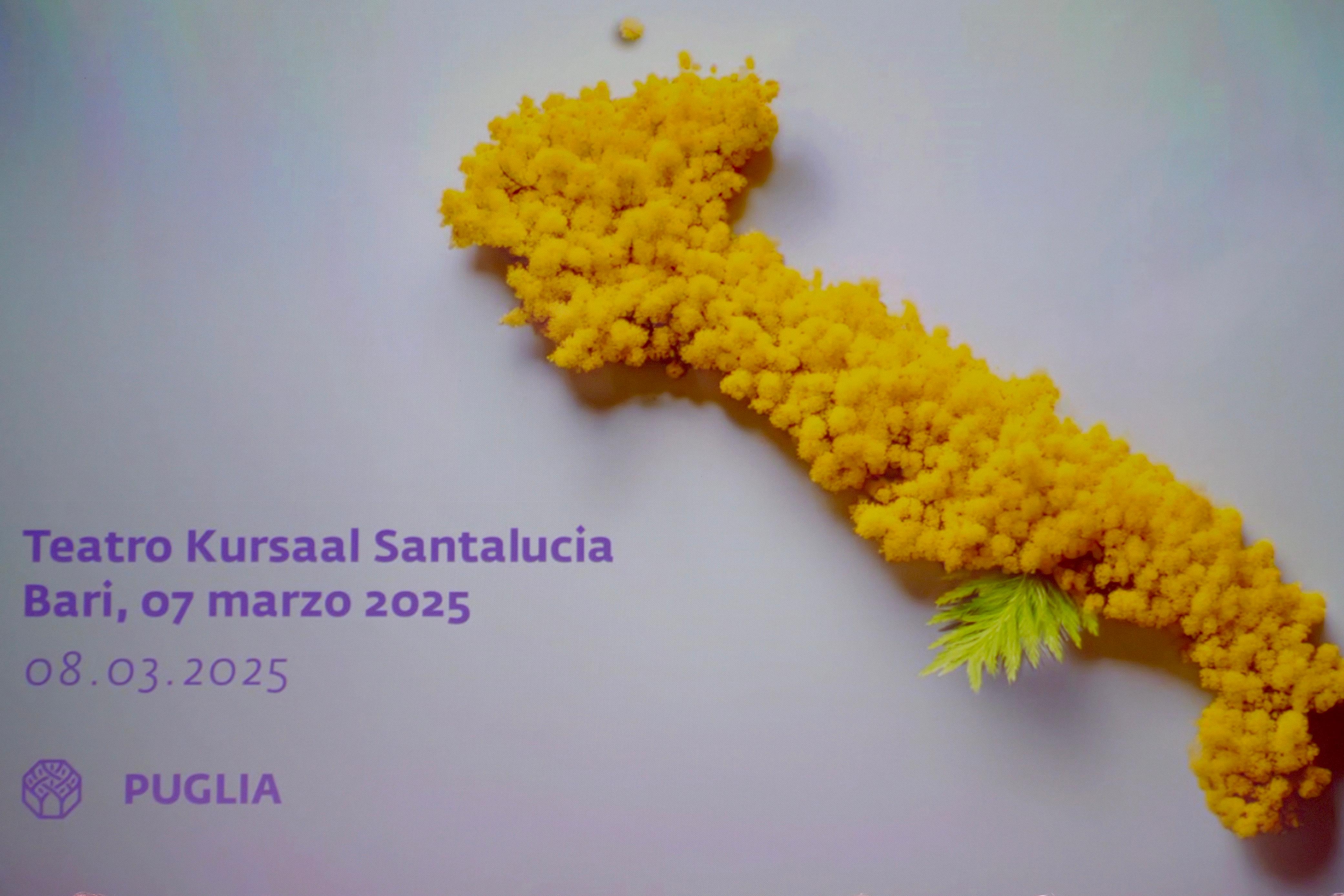 Galleria Giornata internazionale della Donna, presentate al teatro Kursaal Santalucia le iniziative della Regione Puglia per l'empowerment femminile - Diapositiva 12 di 15