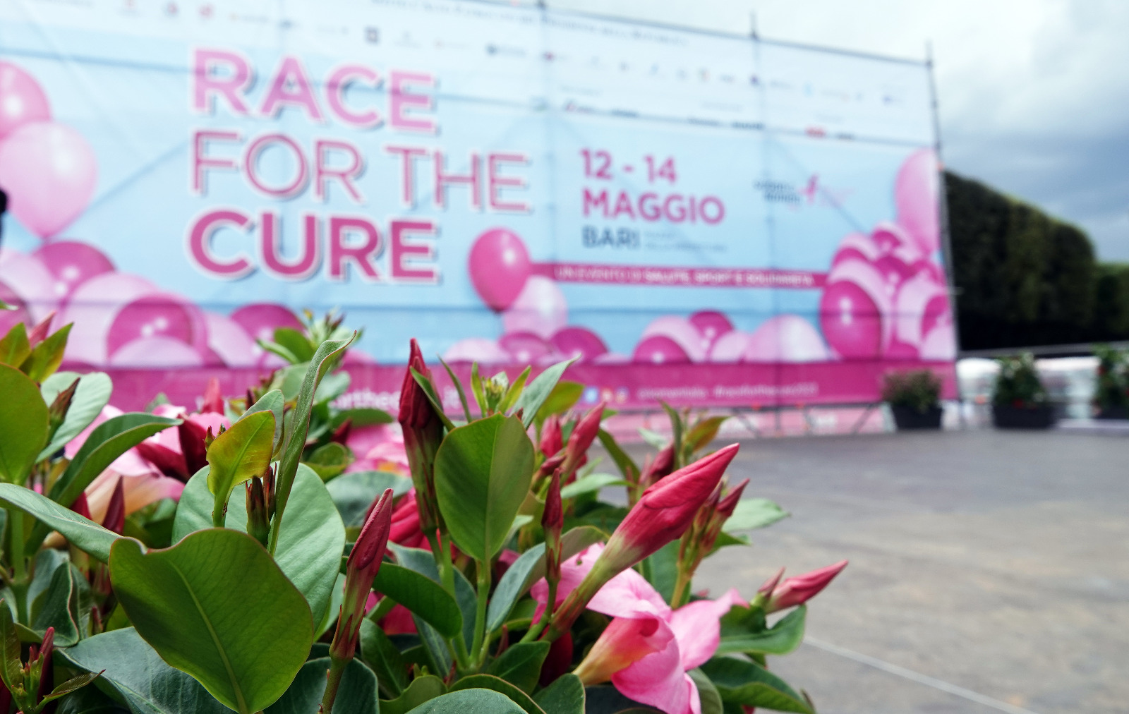 Galleria LA REGIONE PUGLIA AL “VILLAGGIO DELLA SALUTE”  PER LA “RACE FOR THE CURE” - Diapositiva 2 di 9