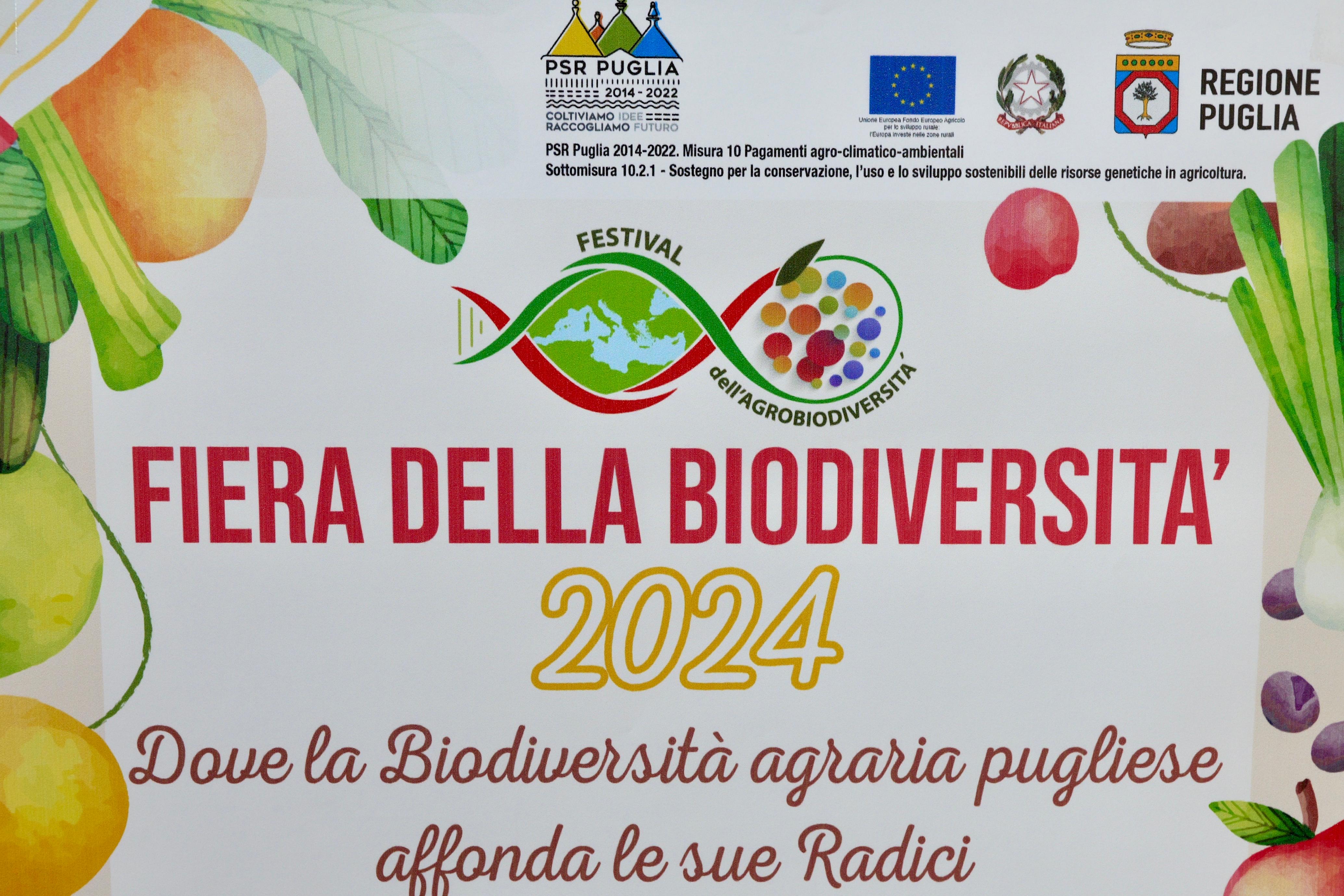 Galleria Al via la I edizione Fiera della Biodiversità a Locorotondo dall’11 al 13 ottobre - Diapositiva 7 di 13