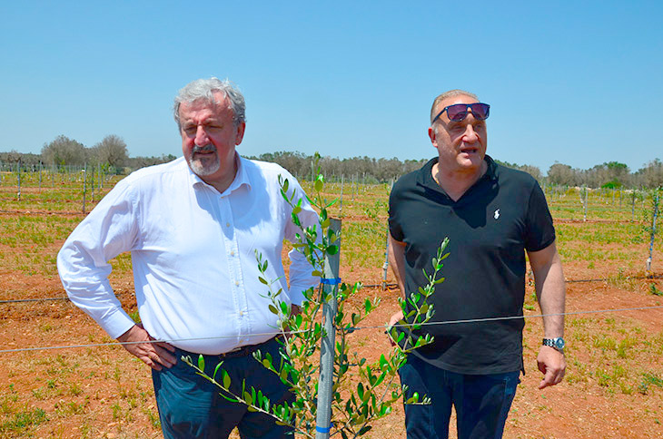 il presidente della Regione, Michele Emiliano